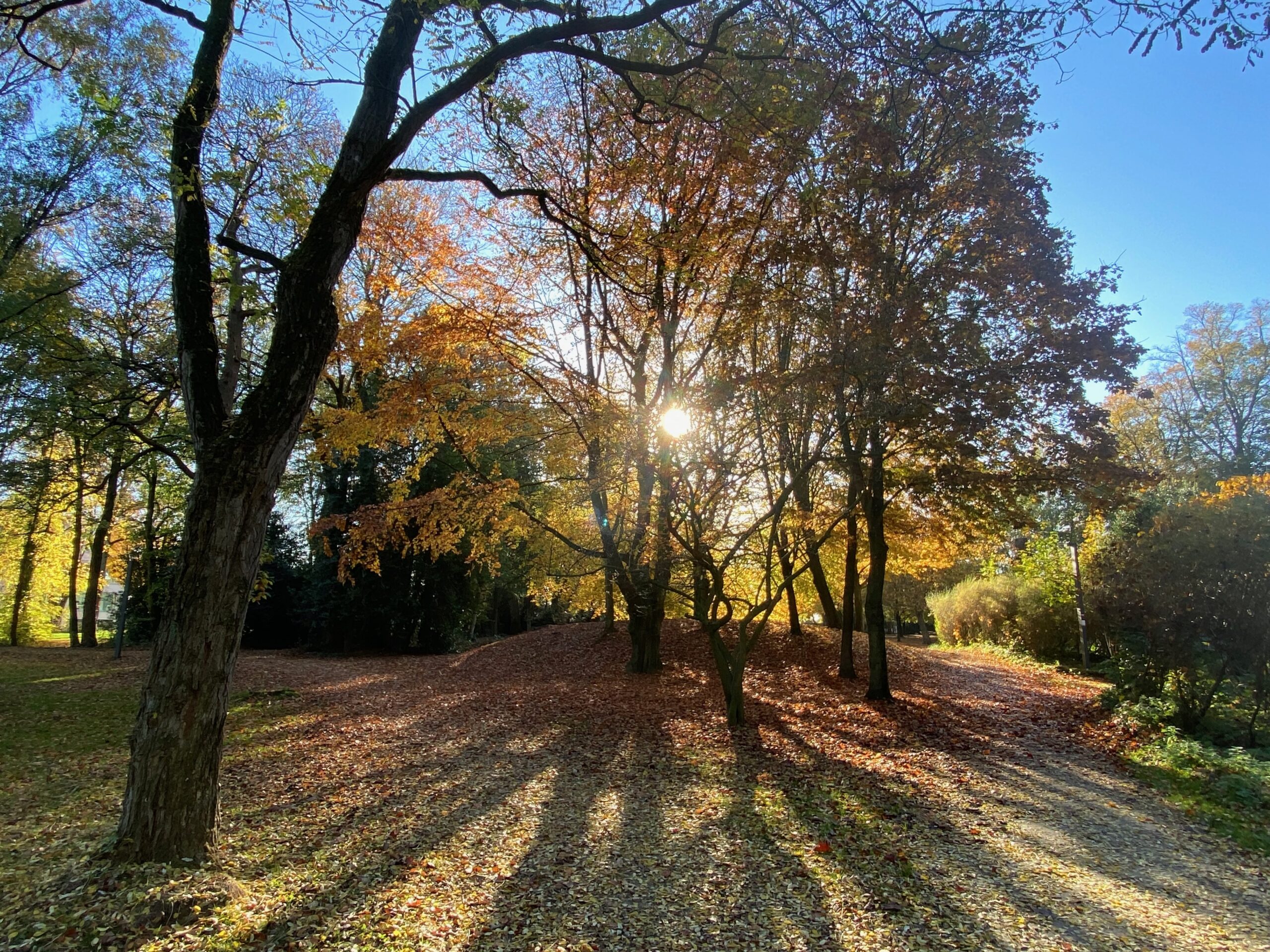 Natuurcoaching bij Je Eigen Pad
